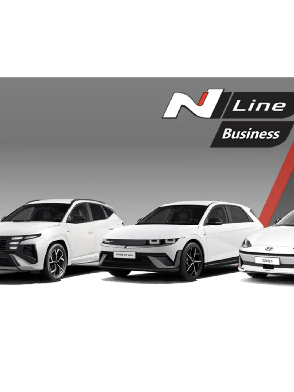 Hyundai Business Editions Hero